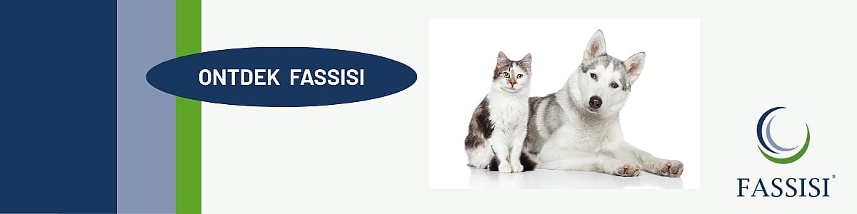 Dier, Hond, Schor, Huisdier, Kat